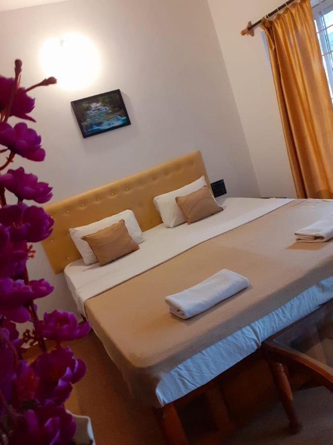 Oasis Beach Resort Agonda Luaran gambar